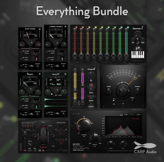 CARP Audio Everything Bundle 2025-02 [插件捆绑包] [WiN、MaC]-vst音频站