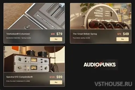 Audiopunks Bundle 2025-02 [专业级音频处理插件合集] [WiN]-vst音频站