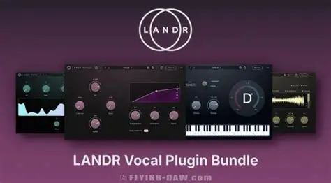 [专业人声一体化工具] LANDR Vocal Plugin Bundle v2025.12 U2B-FLARE [MacOSX]-vst音频站
